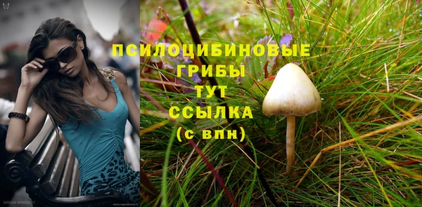 МДМА Алексеевка